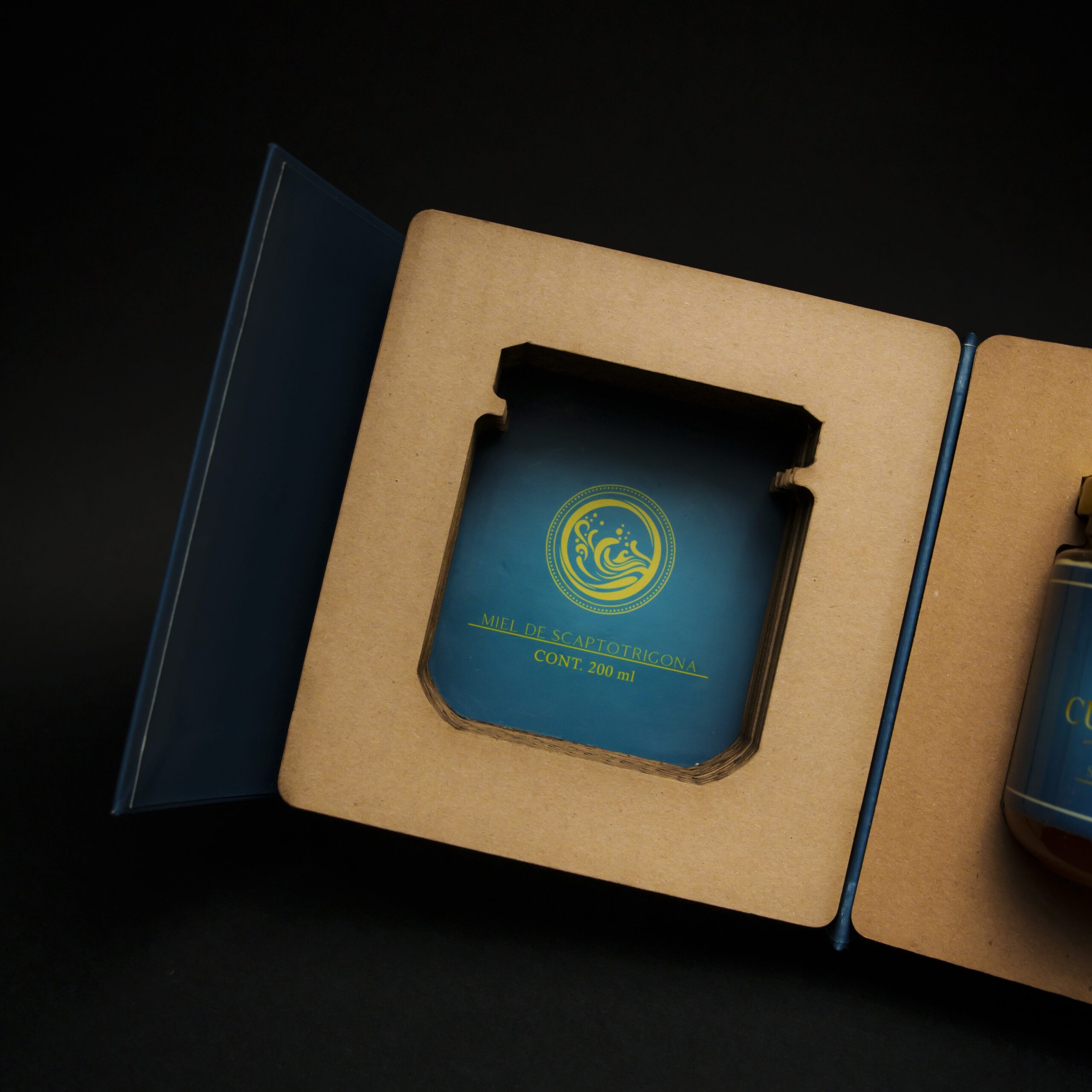 CURANDERA ESTUDIO PT 2_14