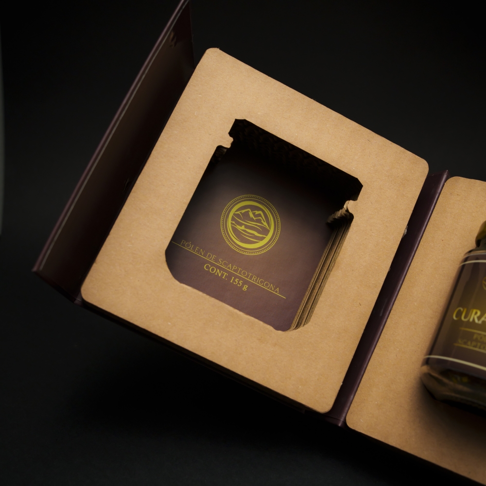 CURANDERA ESTUDIO PT 2_21