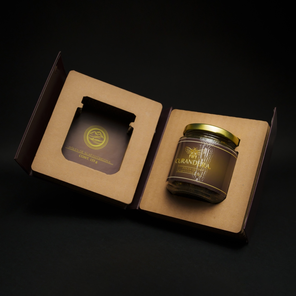 CURANDERA ESTUDIO PT 2_22